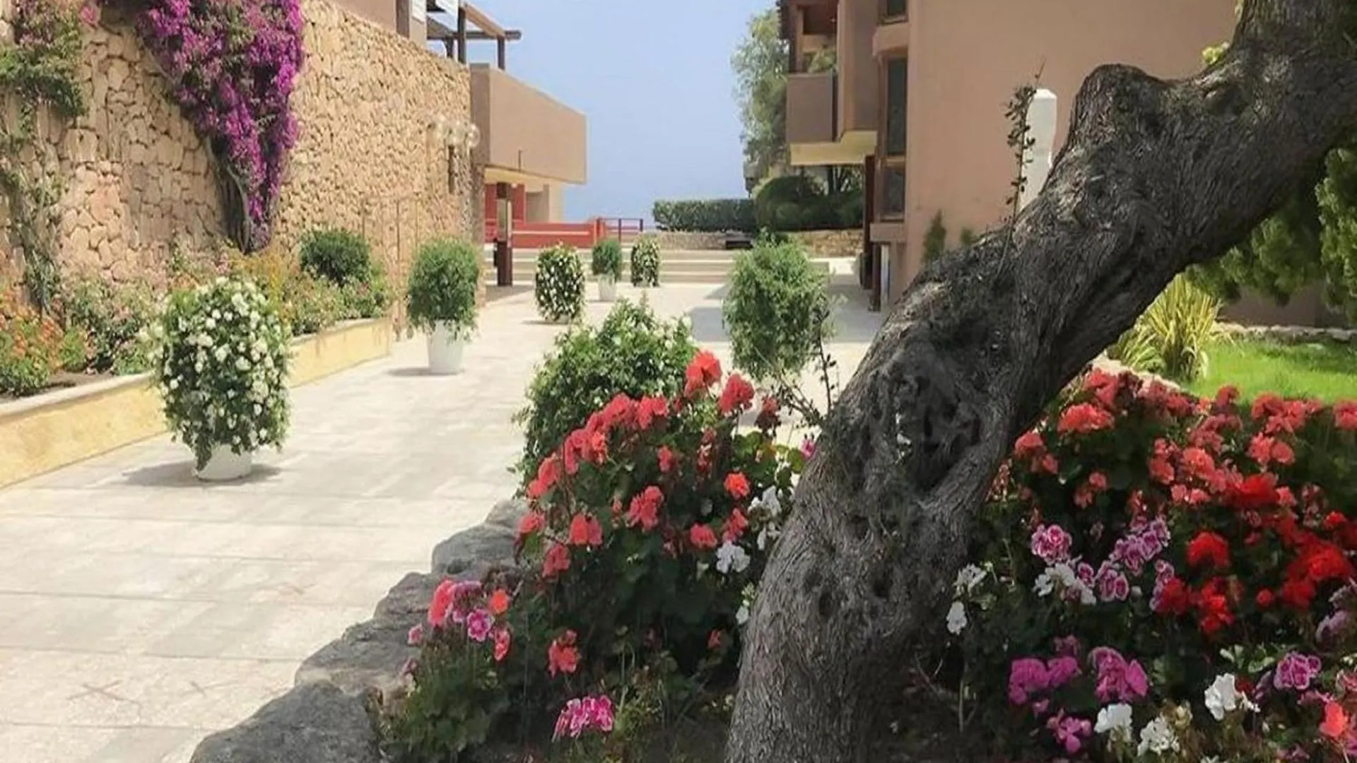 Attractive Apartment In Olbia Near Sea