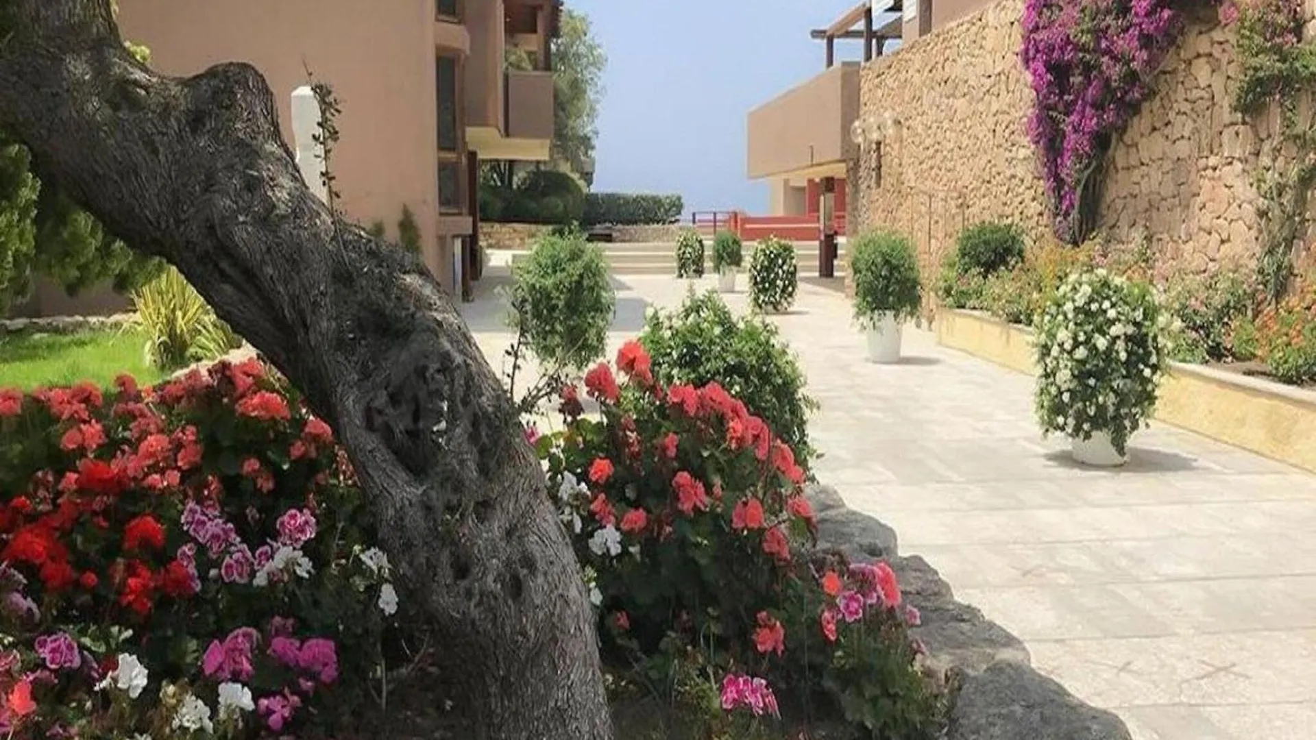 Attractive Apartment In Olbia Near Sea